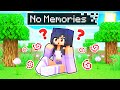 Aphmau Lost All Her MEMORIES In Minecraft!
