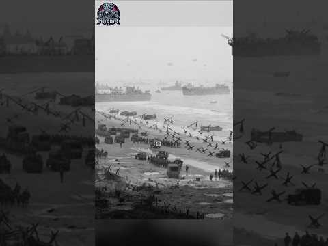 Victory Comes At a Great Cost - Saving Private Ryan #shorts #savingprivateryan #movie #cinema #film