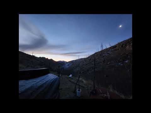 A hummer of a night.