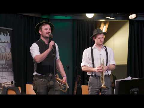 Hallgrafen Musikanten - In den Städtchen gibt es Mädchen