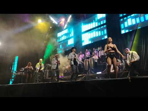 Johnny Maquinaria 2019. It's not unusual. Negreira