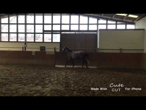 C-Trenton z x Now or Never