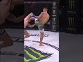 Saad Awad vs. Chris Gonzalez KO Highlights