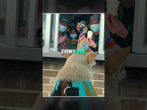 Cutest Drive-Thru Customers Ever 🐶🐷🦝 #shorts