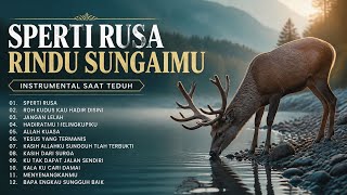 Download lagu Instrumental Rohani Kristen untuk Saat Teduh, Doa dan Ketenangan | VOLUME 4 mp3