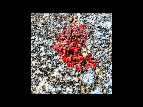 Rubro Véu No Despertar De Peter Pan - Sergio Anil
