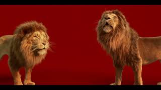  Avocados from Peru Pasta Sauce Basilikum (Basil) | Authentic Italian Flavor