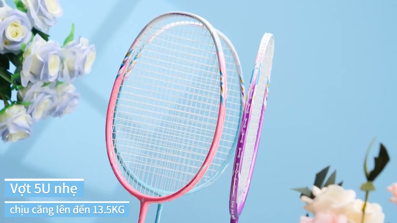 Vợt cầu lông Apavi Phoenix P20