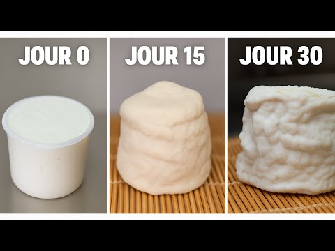 Comment faire un Crottin de Chèvre Maison | Guide Complet du Lait au Fromage Affiné