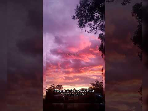 ¡Después de la bendecida lluvia!; La Cruz, Corrientes, Argentina; 20/Abr/26; 18:28 hs; Paraje Isoquí