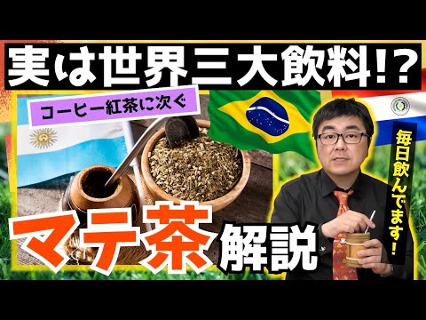 マテについて詳しく解説