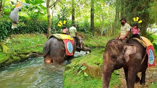 Download lagu Naik Gajah Melewat Sungai Safari | Mengenal Binatang Untuk Anak Anak mp3 Download lagu Naik Gajah Melewat Sungai Safari | Mengenal Binatang Untuk Anak Anak mp3