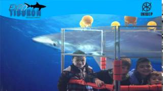 DIA 2 Expo Tiburon255