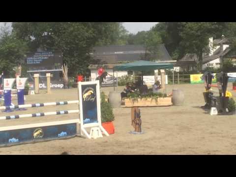 "Dorado" Indorado x Martell XX