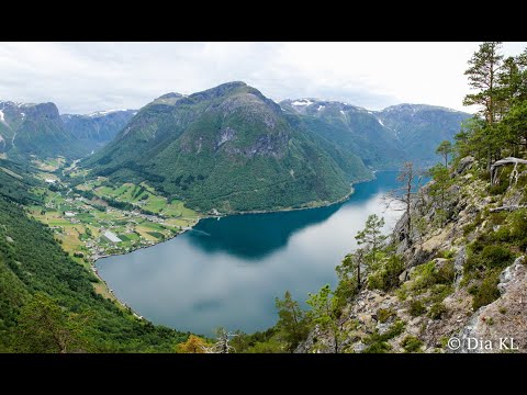 Farmwork in NORWAY Fresvik 2020 (+hiking and more!!)