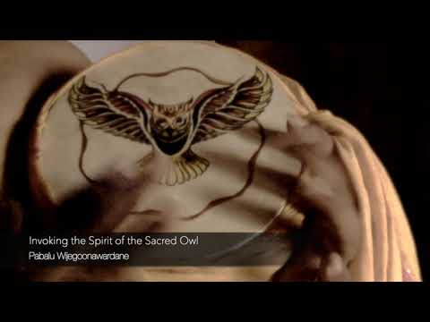 Invoking the Spirit of the Sacred Owl