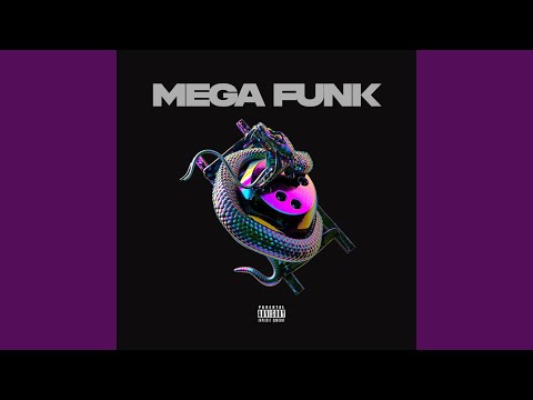 MEGA FUNK PLAYBOYZIN DA ZONA SUL