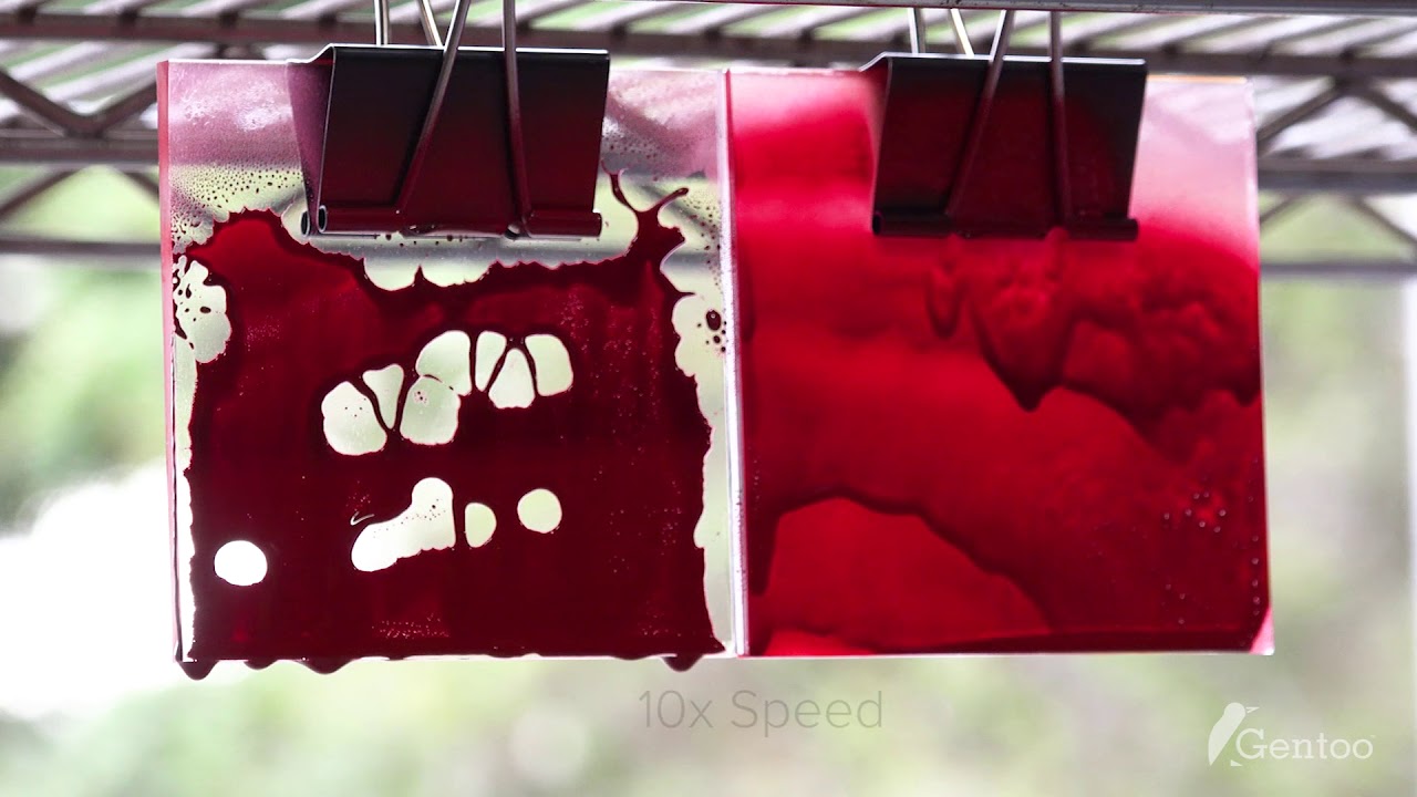 Gentoo Coating vs Spray Paint