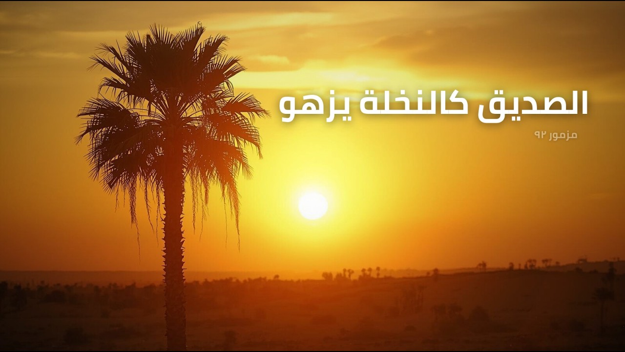 فيديو تفسير الكتاب المقدس | الكتاب المقدس رفيقي