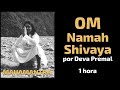 Mantra dos Mantras: Om Namah Shivaya - Deva Premal (repetição 1h) Babaji Haidakhan
