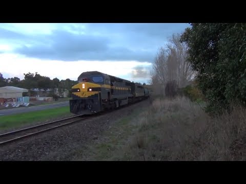 C501, S312 with a grain train at Hamilton