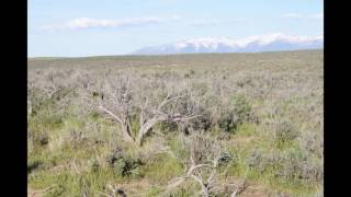 Vacant Land Elko Nevada 2.3 Acres