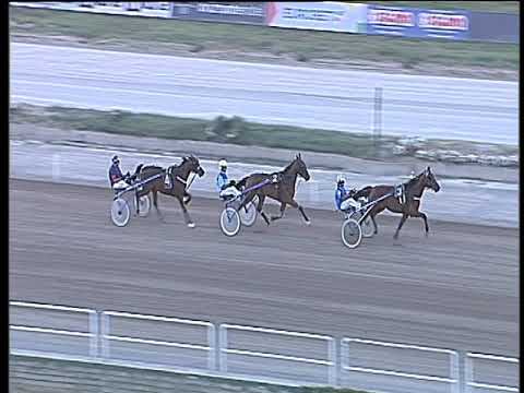 Trotto 12/08/2017 - 1ª prova di qualifica