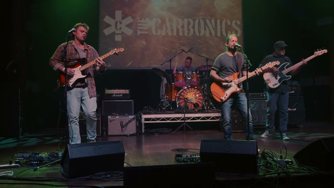 Promotional video thumbnail 2 for The Carbonics (indie rock band)