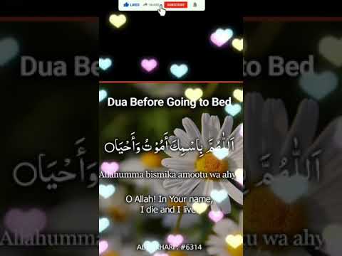 Umamah hashmi| Beautiful Dua | #shorts #viral #viralvideo #tilawat #dua
