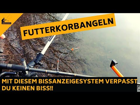 Das geniale Feederbissanzeige System