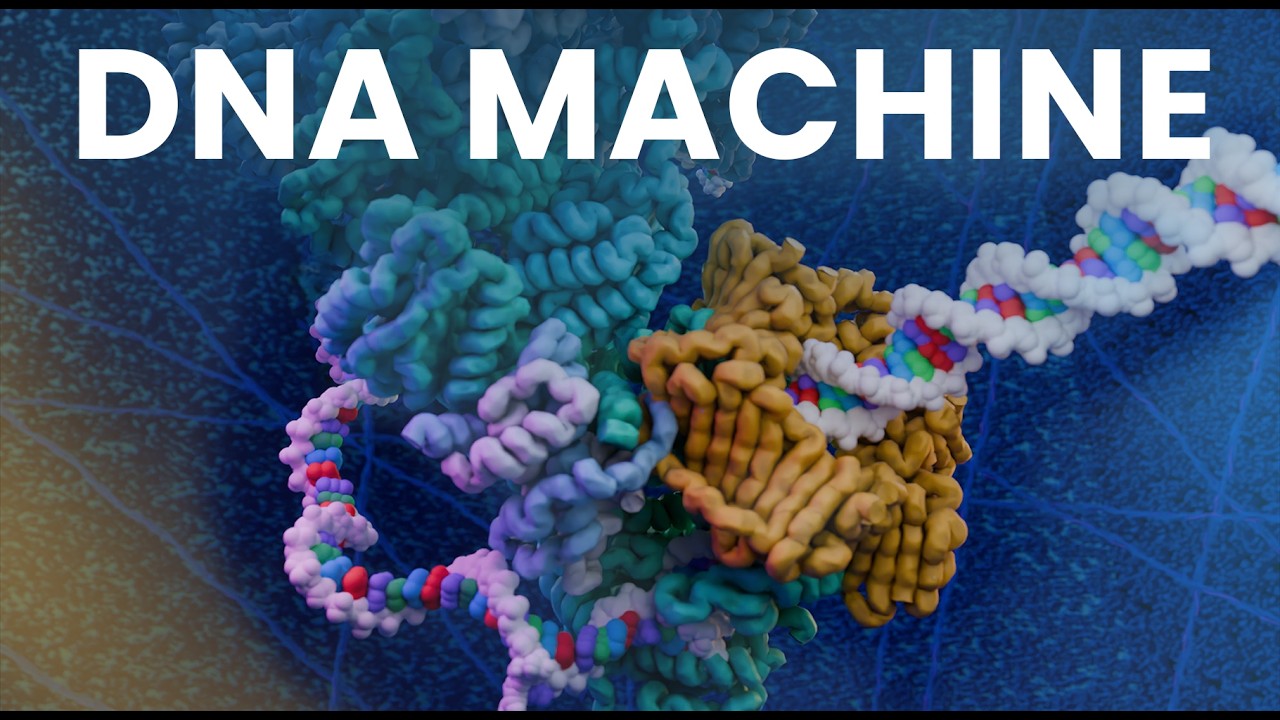 Your Unstoppable Copy Machine｜DNA Replication