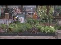 Spokane County Master Gardeners group gives tips for spring planting
