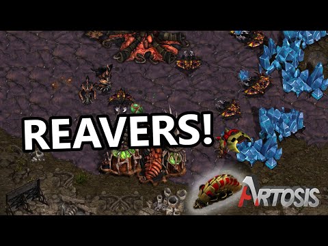 Harassing Zerg All Over the Map - Stork vs. Action G1