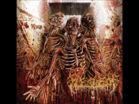 Fleshrot - From The Abyss