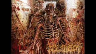 Fleshrot - From The Abyss
