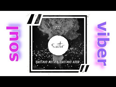 Gustavo Mota & Gustavo Koch - TEI