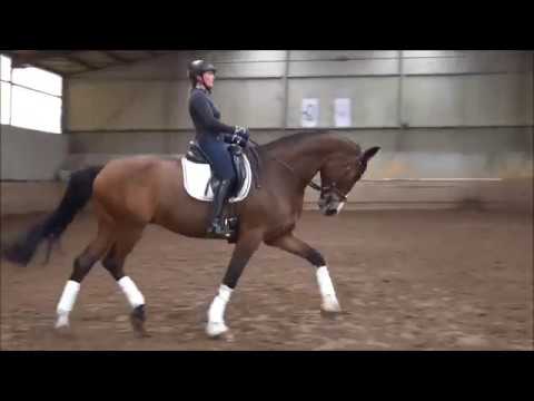 Wallach von Scolari/ French Kiss/ Angard