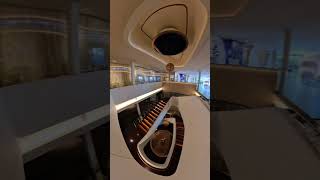 Celebrity Apex is basically an art experiment at sea…