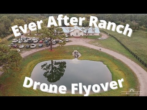 Whatthomassays Media video.