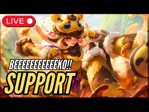 Full Educational NEEKO Support day on Main Account - BZZZ BEEKO🐝