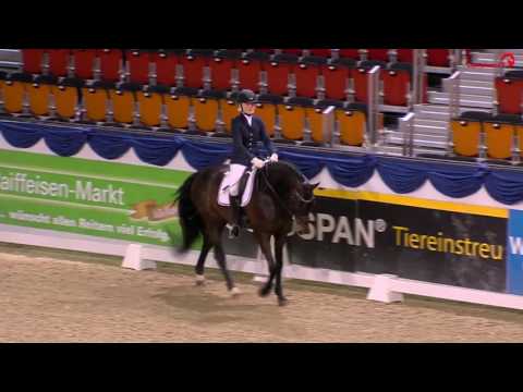 Rock Amour im LVM Youngster Championat 2017