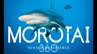 preview picture of video 'Morotai 360 - Diving Experience'