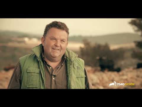 La vaca Pijotera de Germán Vidal - La Vaca del Millón, Fallas 2019