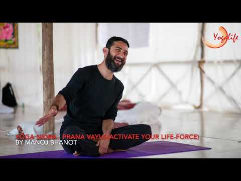 Yoga Nidra -  Prana Vayus (Activate your life force)