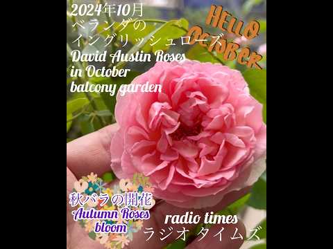 amenagement-balcon-banc-résine-table-basse-fleurs-coussins aménagement balcon