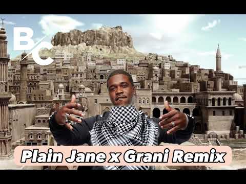 DJ Berkovic ft. Plain Jane x Grani Remix