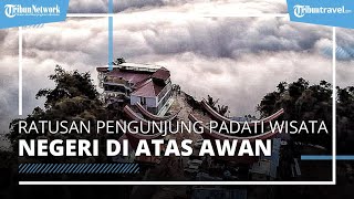 Ratusan Pengunjung Padati Wisata Negeri di Atas Awan Toraja, Nikmati Kopi dan Berdiskusi Bersama
