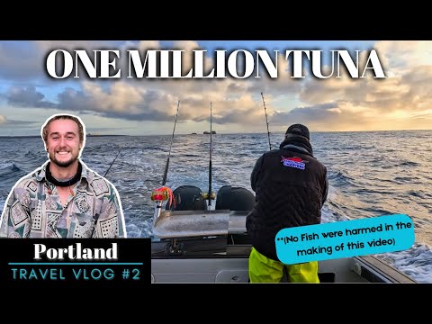 LETTERALMENTE pescato UN MILIONE di tonni a Portland (nessun pesce è stato danneggiato durante la...