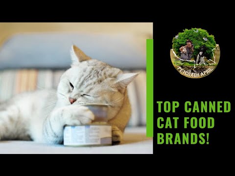 TOP CANNED CAT FOOD BRANDS!