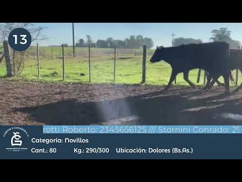 Lote Nll Inv - Dolores Bs As